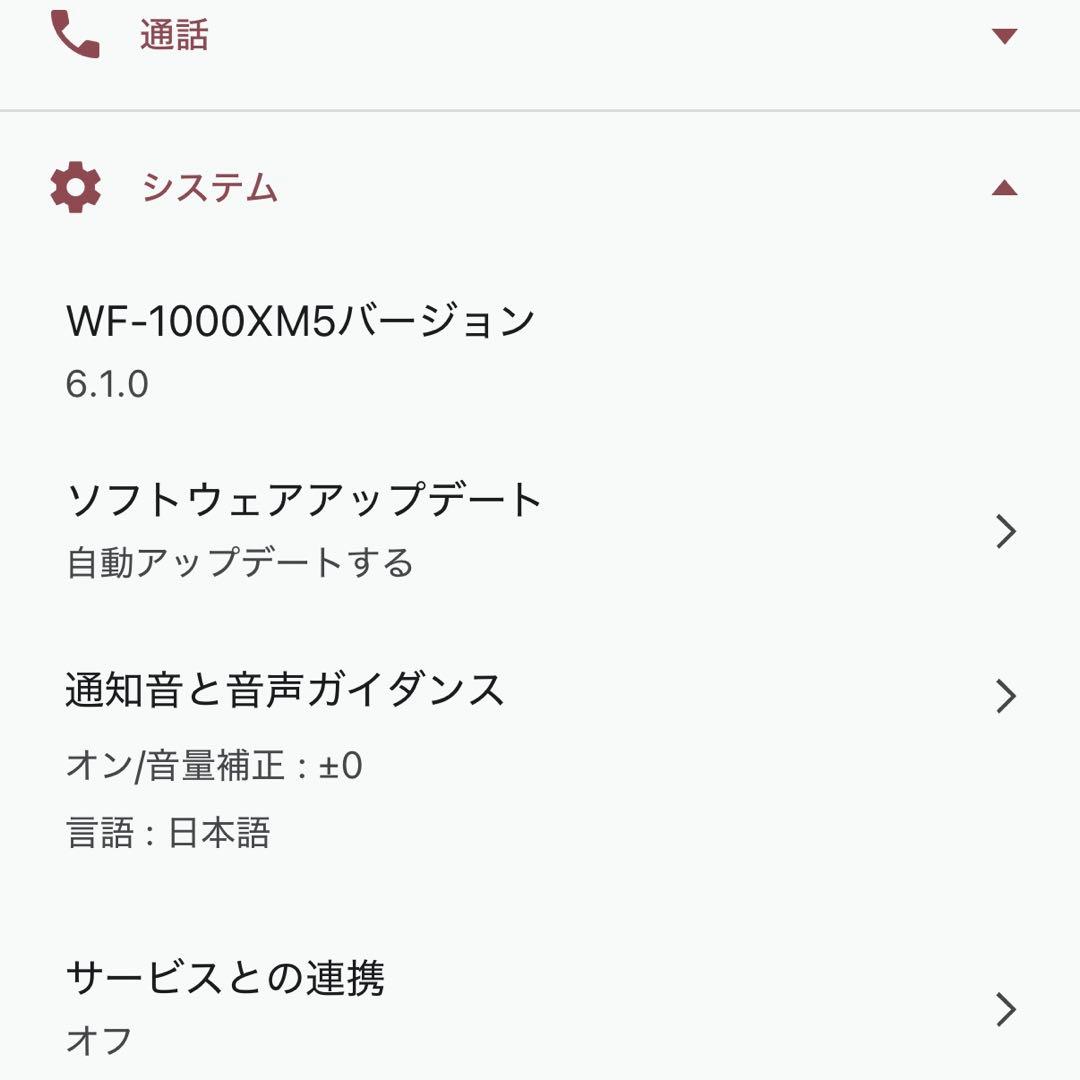 美品　SONY WF-1000XM5 新色スモーキーピンク