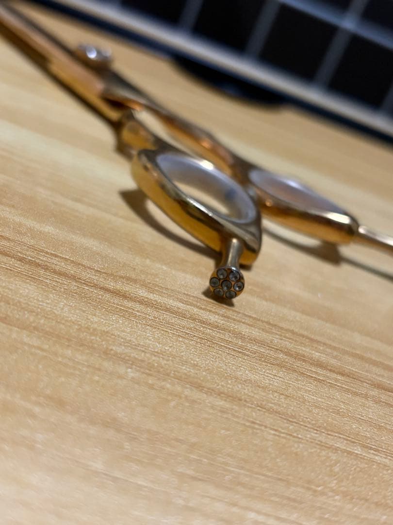 シルバーライン　消しゴムスキバサミ　トリミングシザー　7インチ