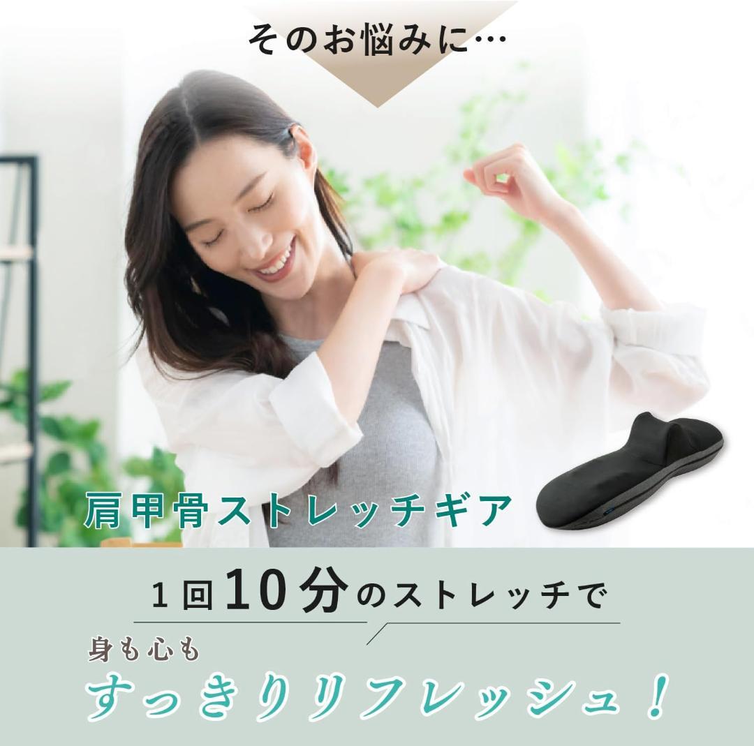 ATEX 肩甲骨 ストレッチギア AX-HX264gr ストレッチ 背中 腰