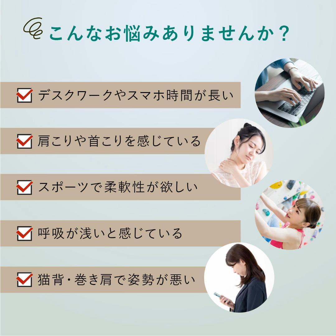 ATEX 肩甲骨 ストレッチギア AX-HX264gr ストレッチ 背中 腰