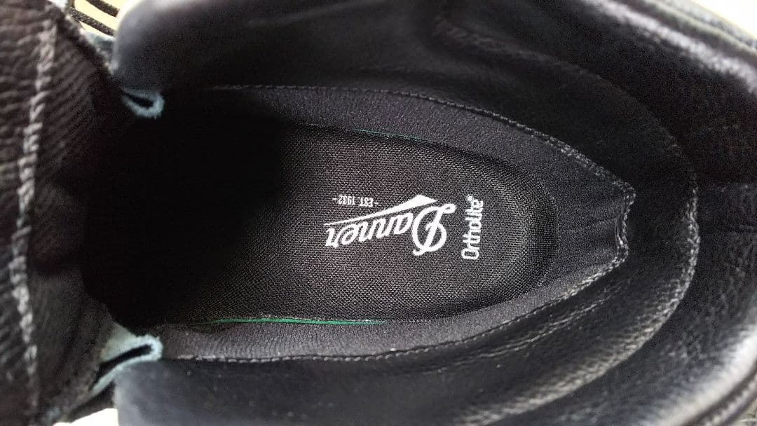 【美品】Dannerダナーマウンテンブーツ26.5cmブラック