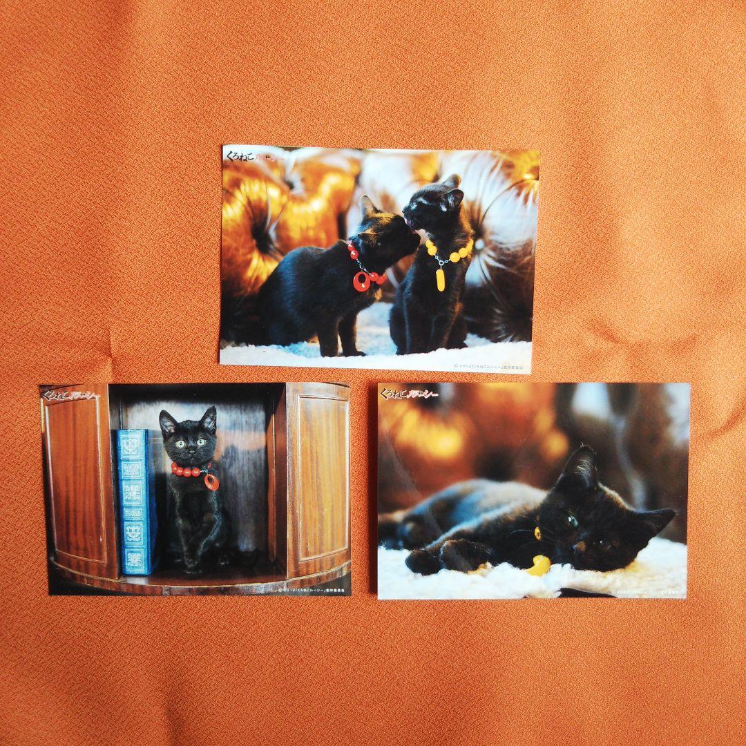 くろねこルーシー DVD-BOX〈3枚組〉