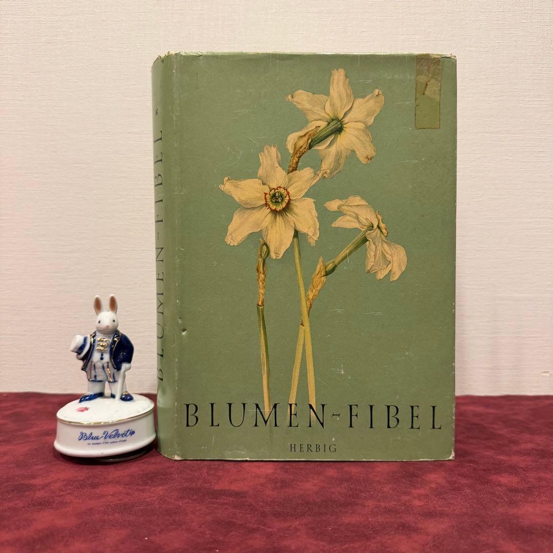 112⑤1963年ドイツElsa Flesko植物図鑑　ジャンクジャーナル