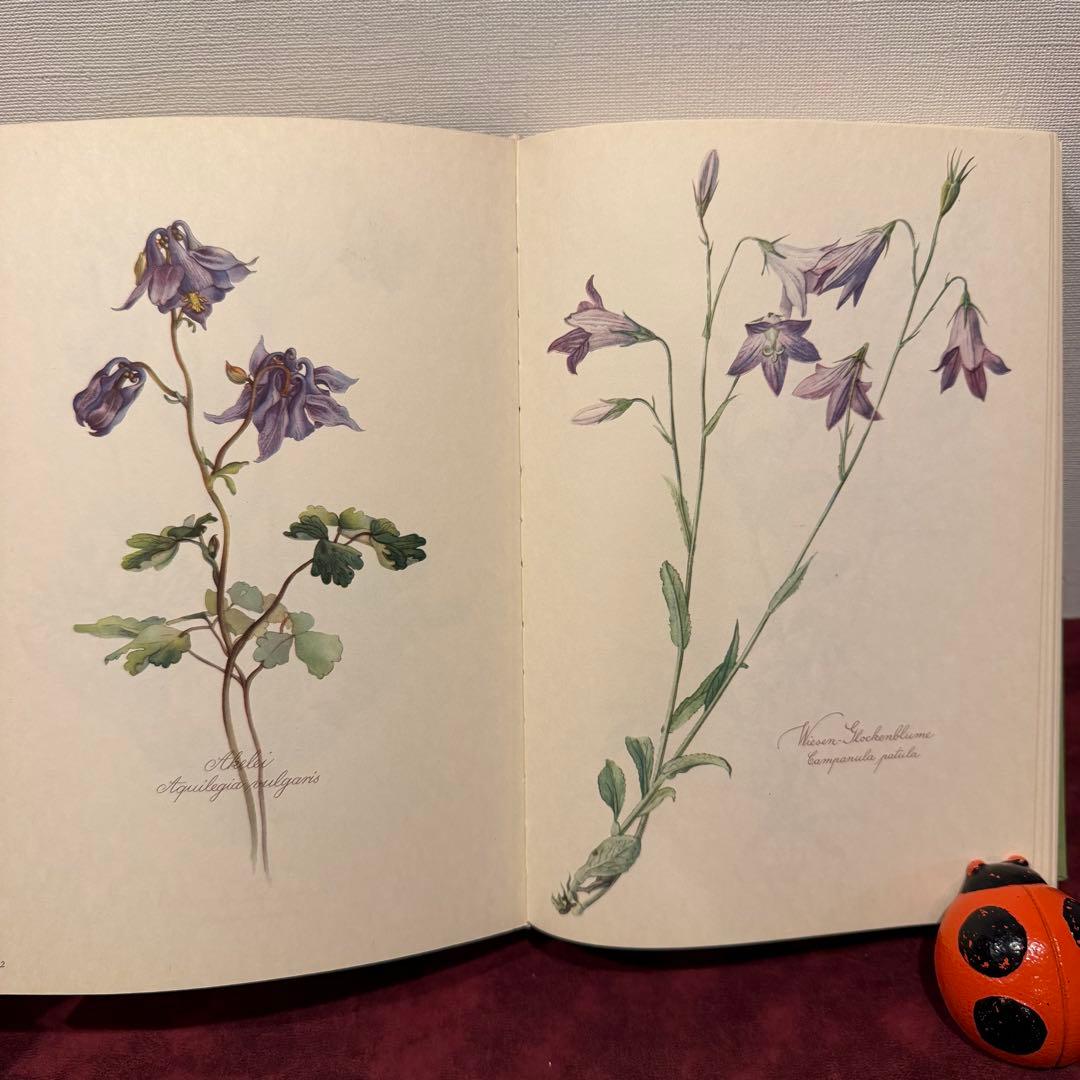 112⑤1963年ドイツElsa Flesko植物図鑑　ジャンクジャーナル