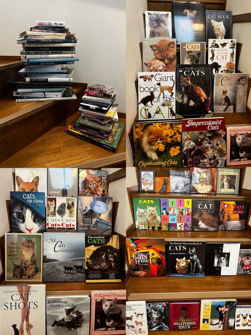 超希少 猫 洋書 画集 写真集 コレクション まとめ売り50冊