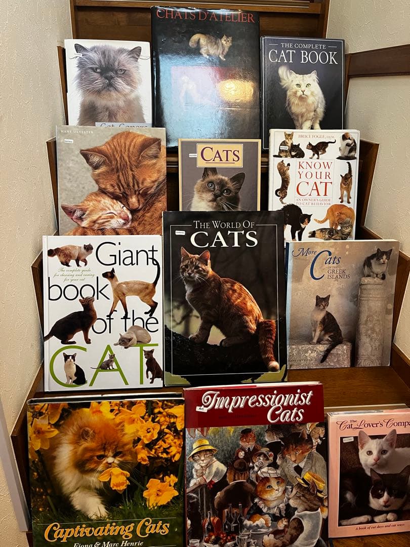 超希少 猫 洋書 画集 写真集 コレクション まとめ売り50冊