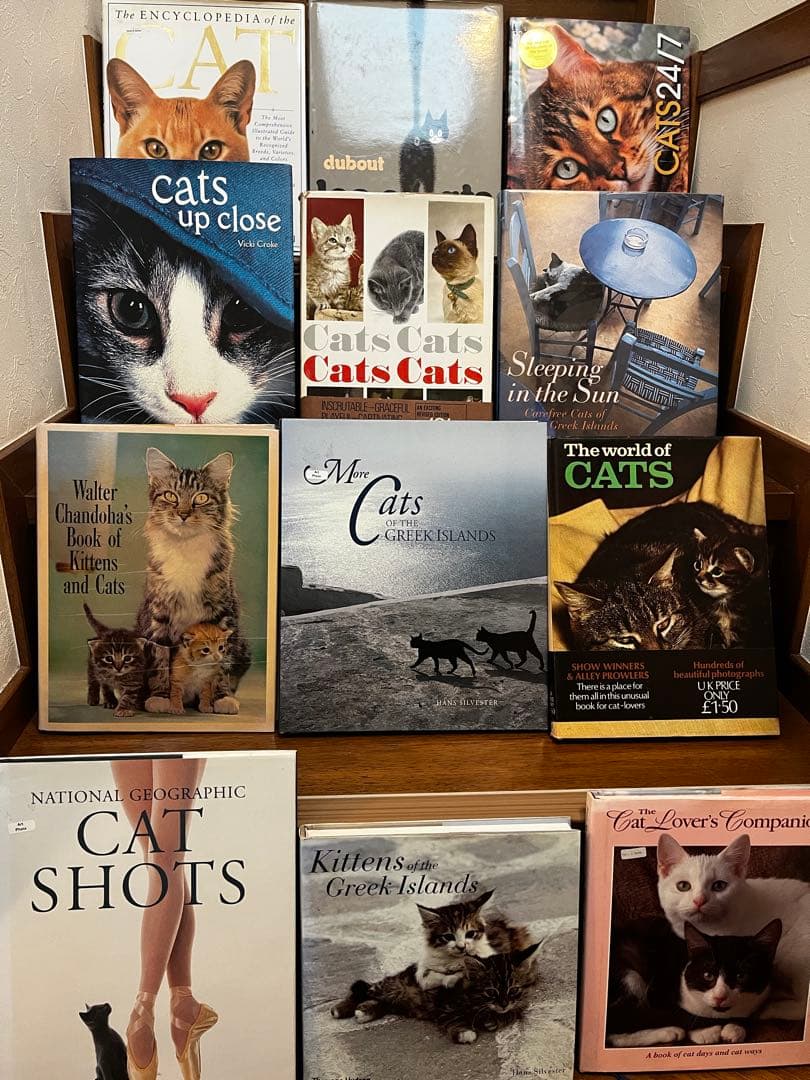 超希少 猫 洋書 画集 写真集 コレクション まとめ売り50冊