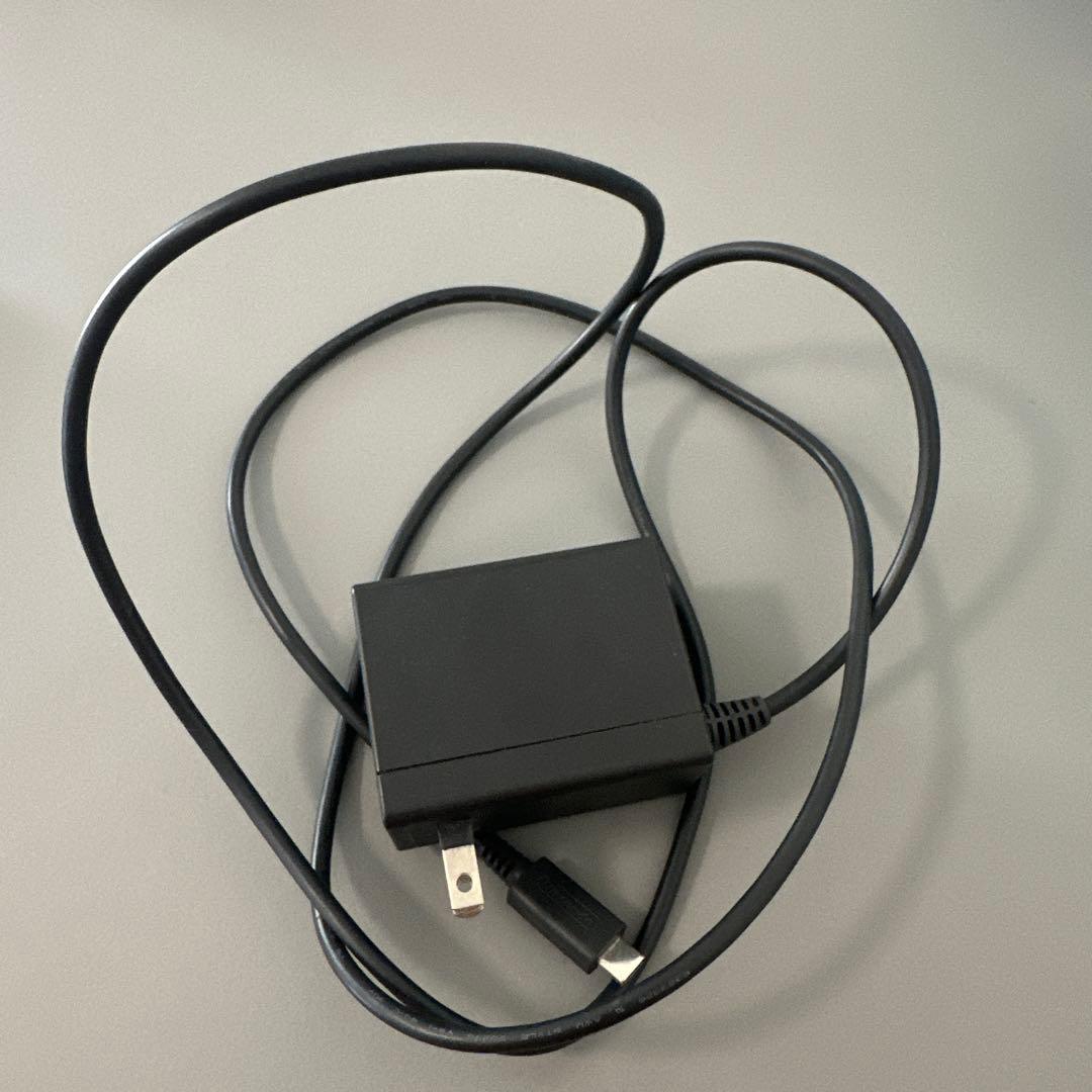 【ターコイズ】Nintendo Switch Lite 本体/充電器付き