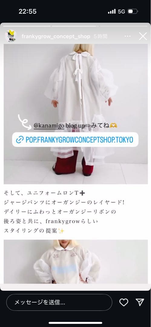frankygrowORGANDY TULLE DRESS F2BLACKワンピ