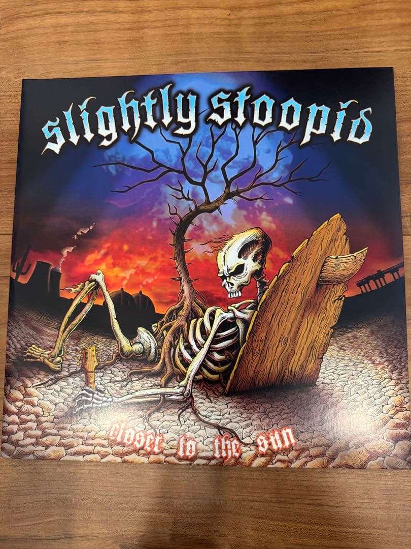Slightly Stoopid Everything You Needレコード
