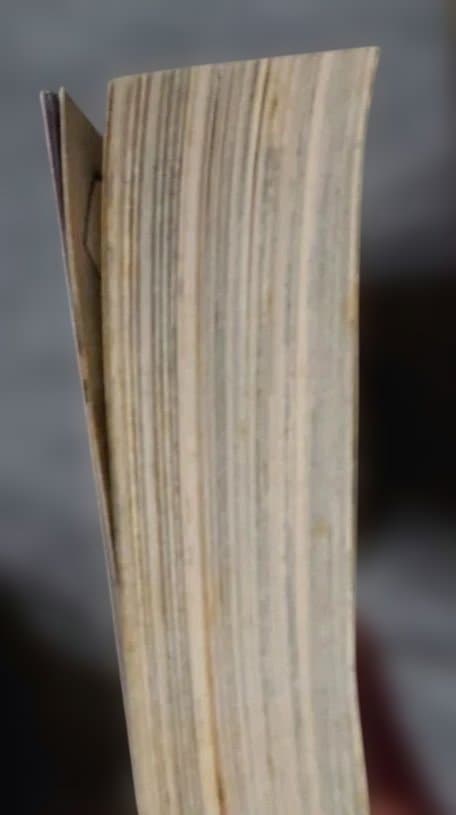 プレミア本　ヘルシング外伝　ヤングキングアワーズ2012年2月号