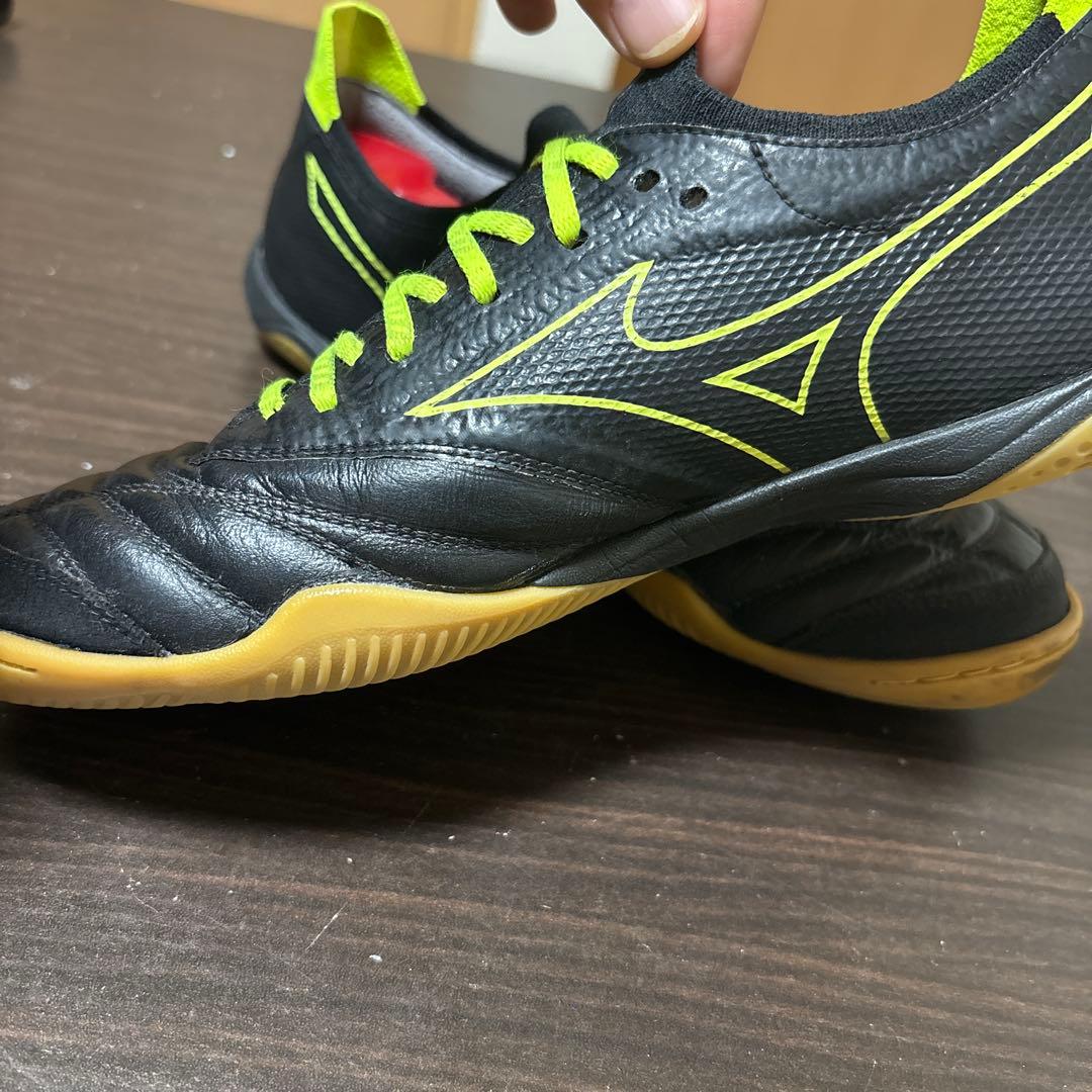 モレリア サラ β