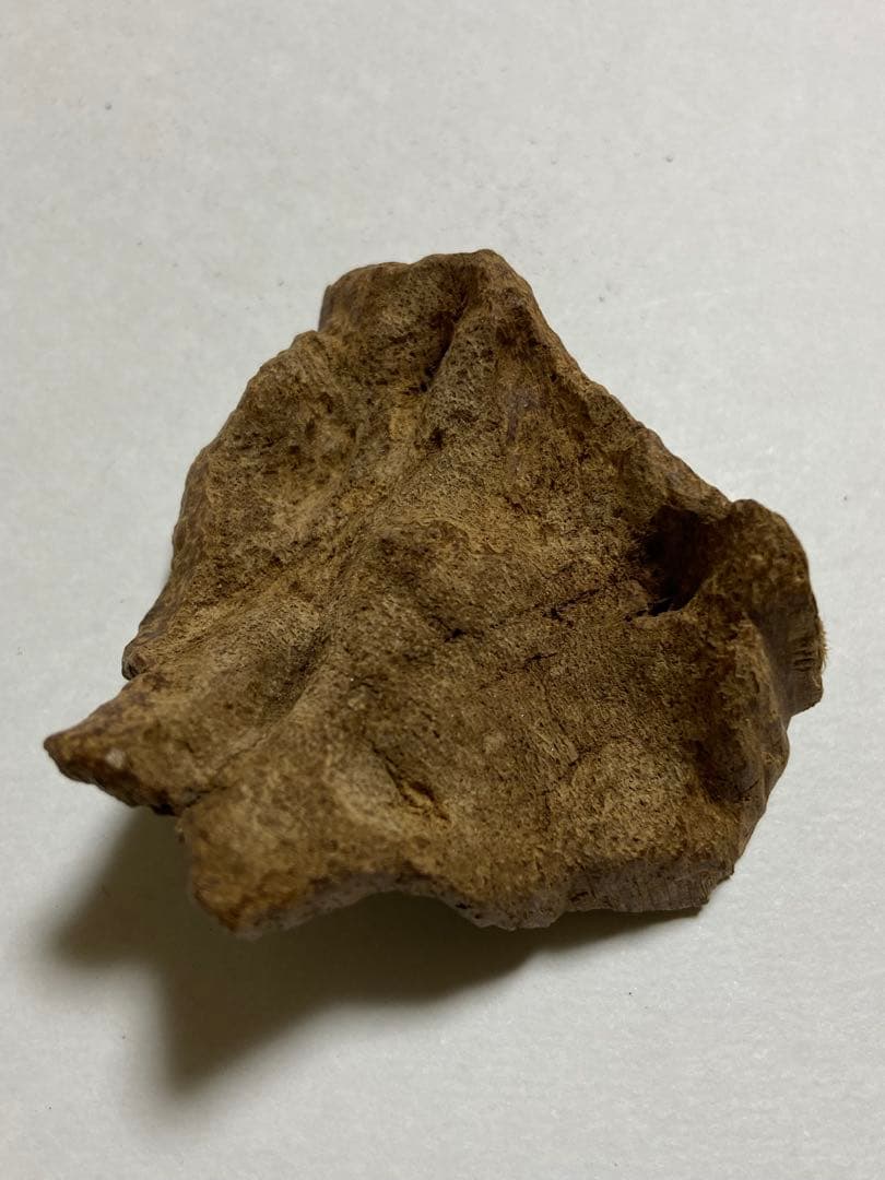 天然沈香木　沈水泥シャム沈香11.3g