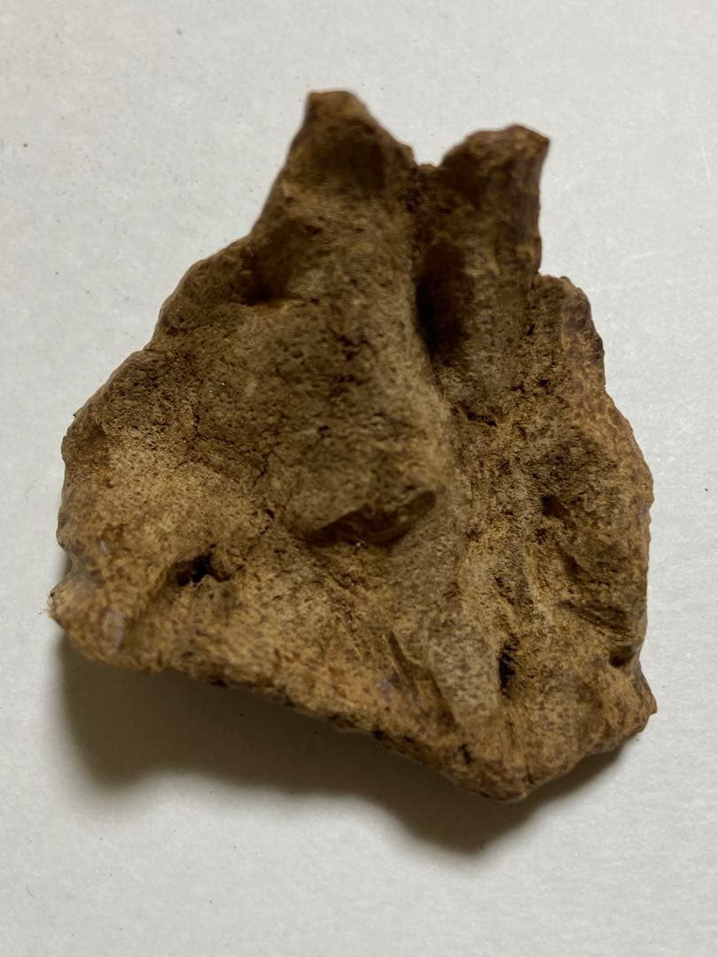 天然沈香木　沈水泥シャム沈香11.3g