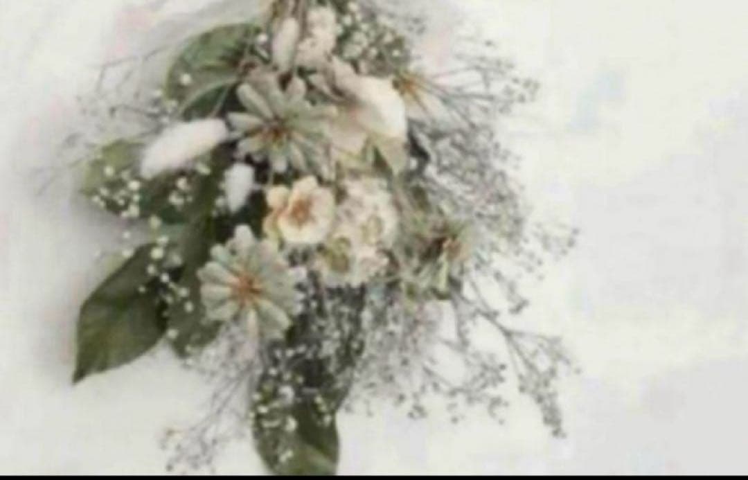 まみープロフ必読