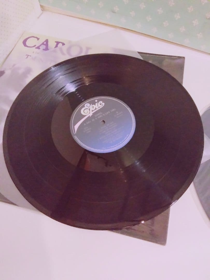 TM NETWORK CAROL LPレコード2枚組