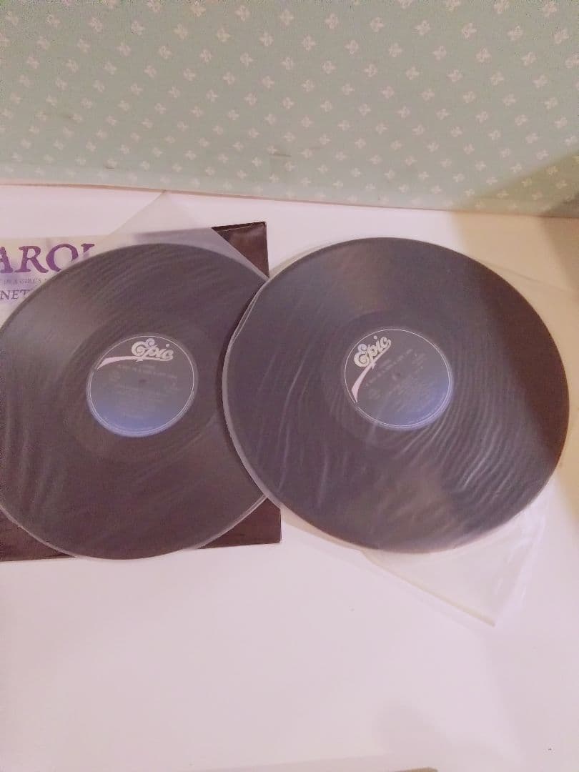 TM NETWORK CAROL LPレコード2枚組