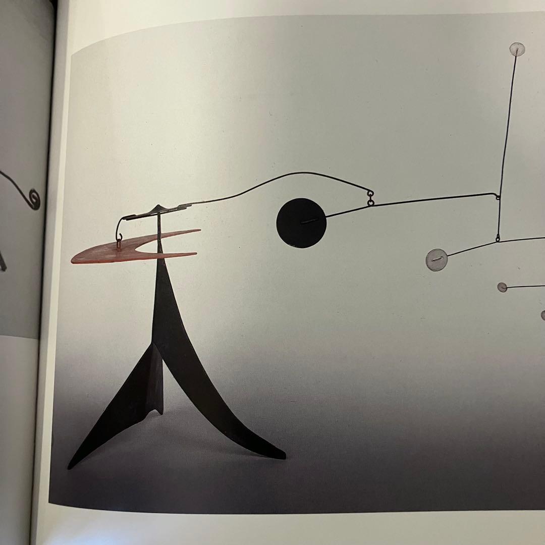 希少 カルダー CALDER INTIME 洋書 フランス語 インタイム 本