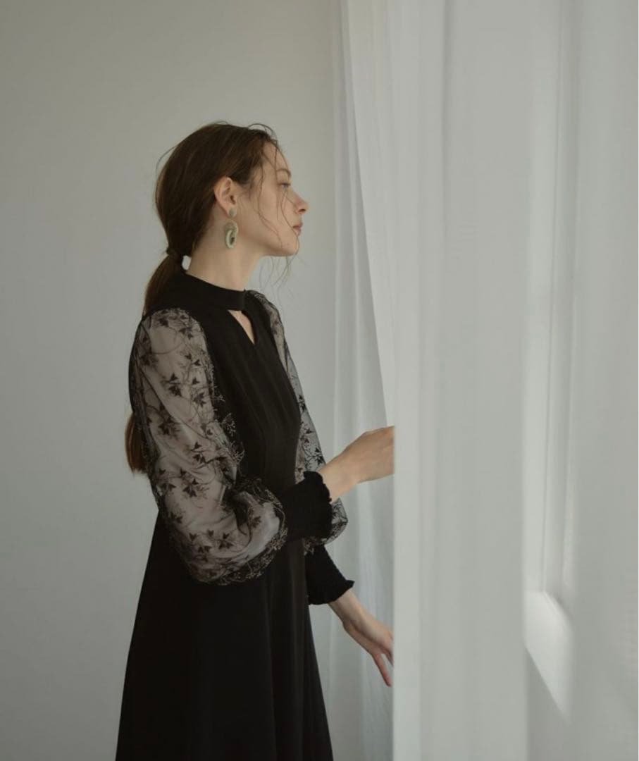 ANDRESD スリーブ刺繍ドレス 【Sサイズ】