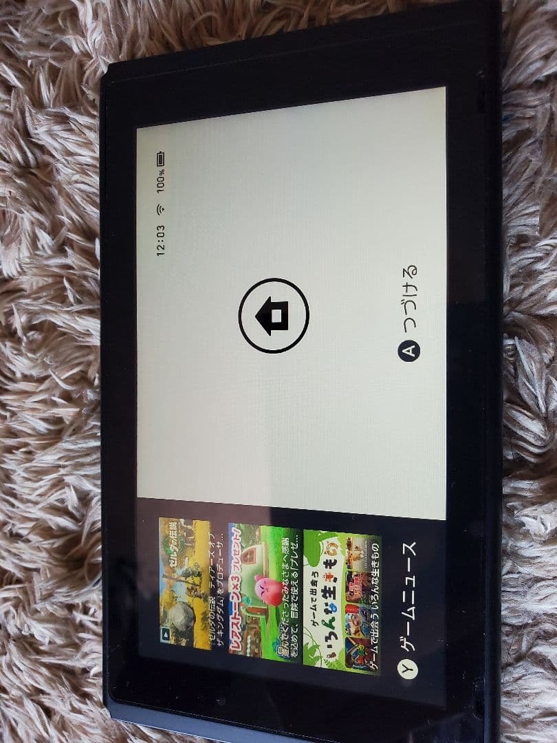 Nintendo Switch Joy-Con (L) / (R) グレー+α