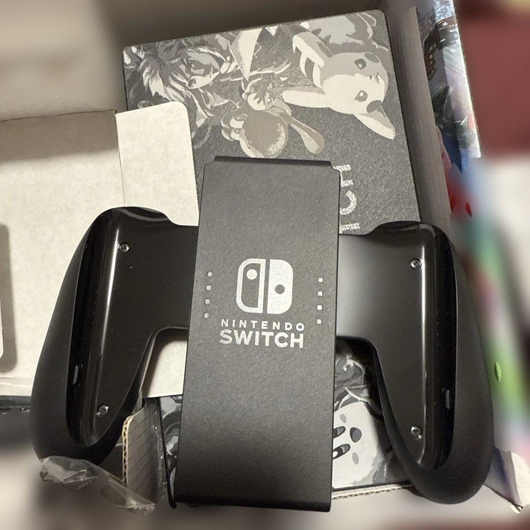 Nintendo Switch NINTENDO SWITCH ダイラントウ …
