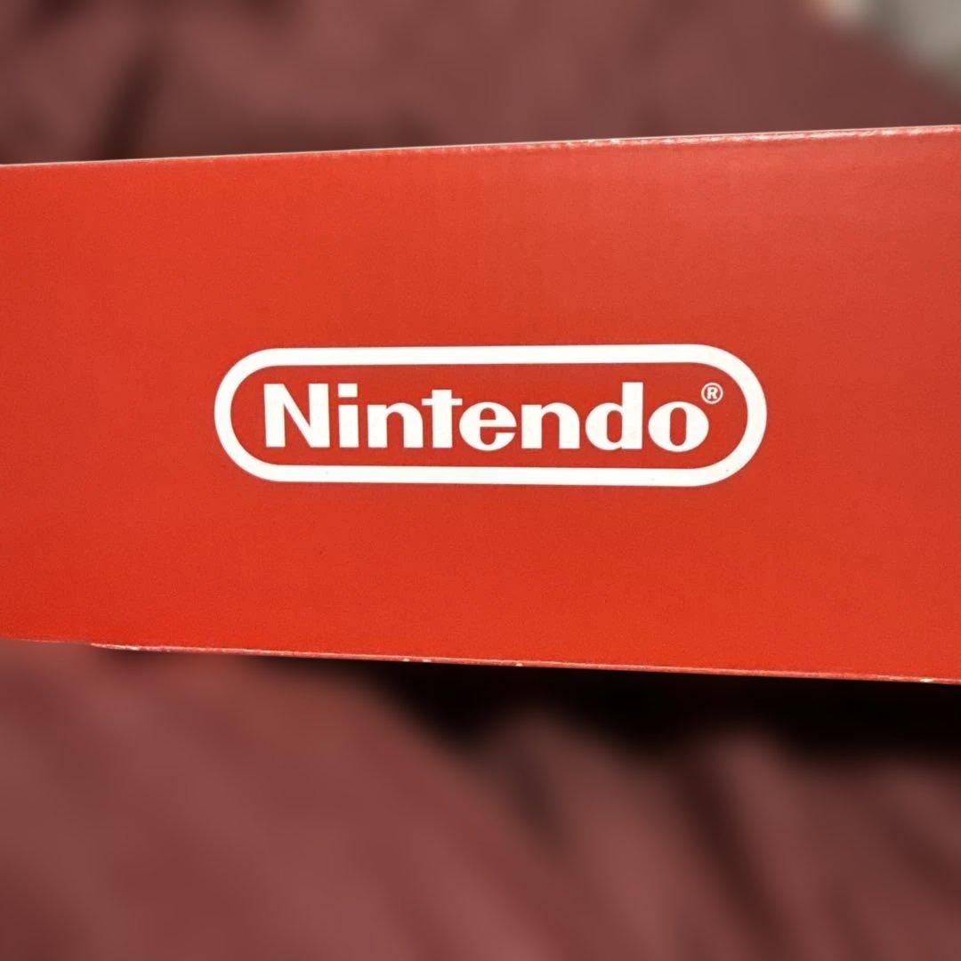 Nintendo Switch NINTENDO SWITCH ダイラントウ …