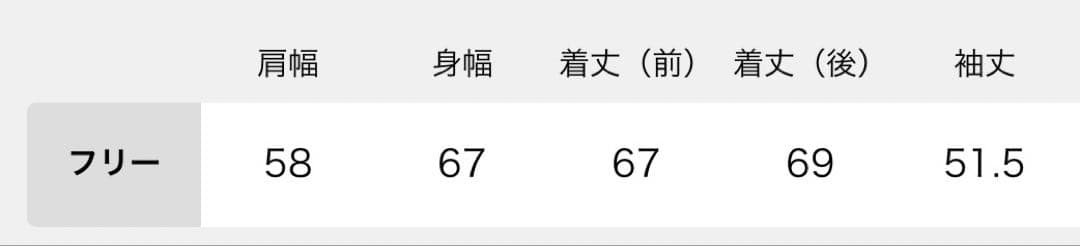 【新品】journal standard luxe タフタフリルプルオーバー