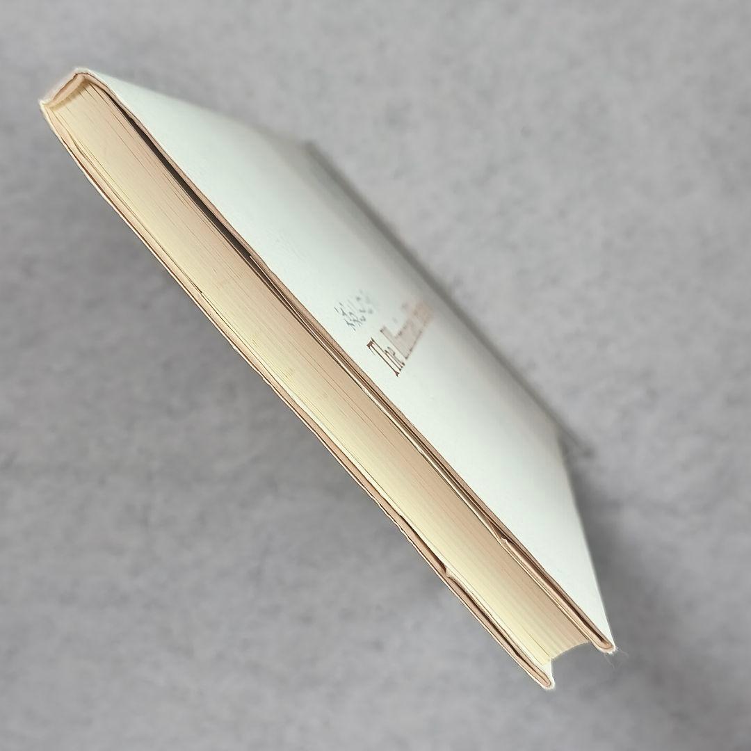 The Illuminated Park　閃光の庭　なかにしけふこ