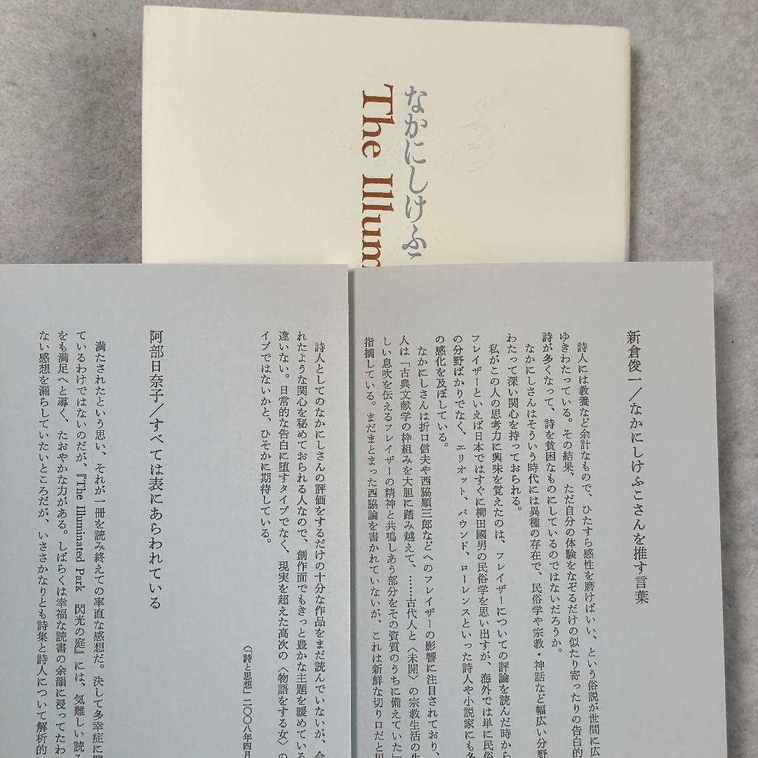 The Illuminated Park　閃光の庭　なかにしけふこ