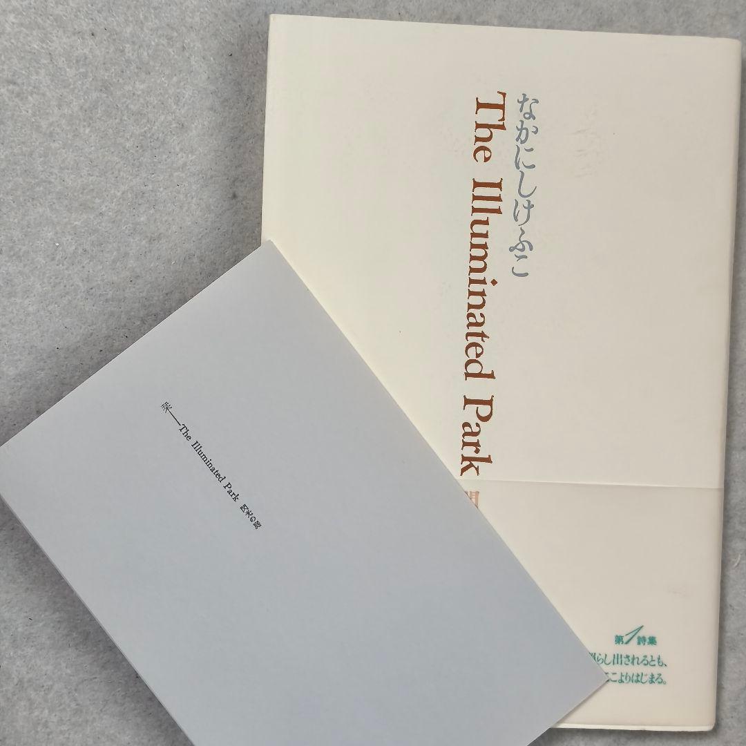 The Illuminated Park　閃光の庭　なかにしけふこ