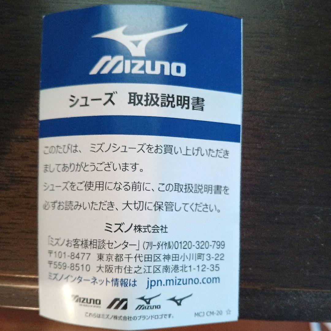 【値下】ミズノYOUDOユウドウ Ⅱ ウォーキングシューズ 24cm 膝負担軽減