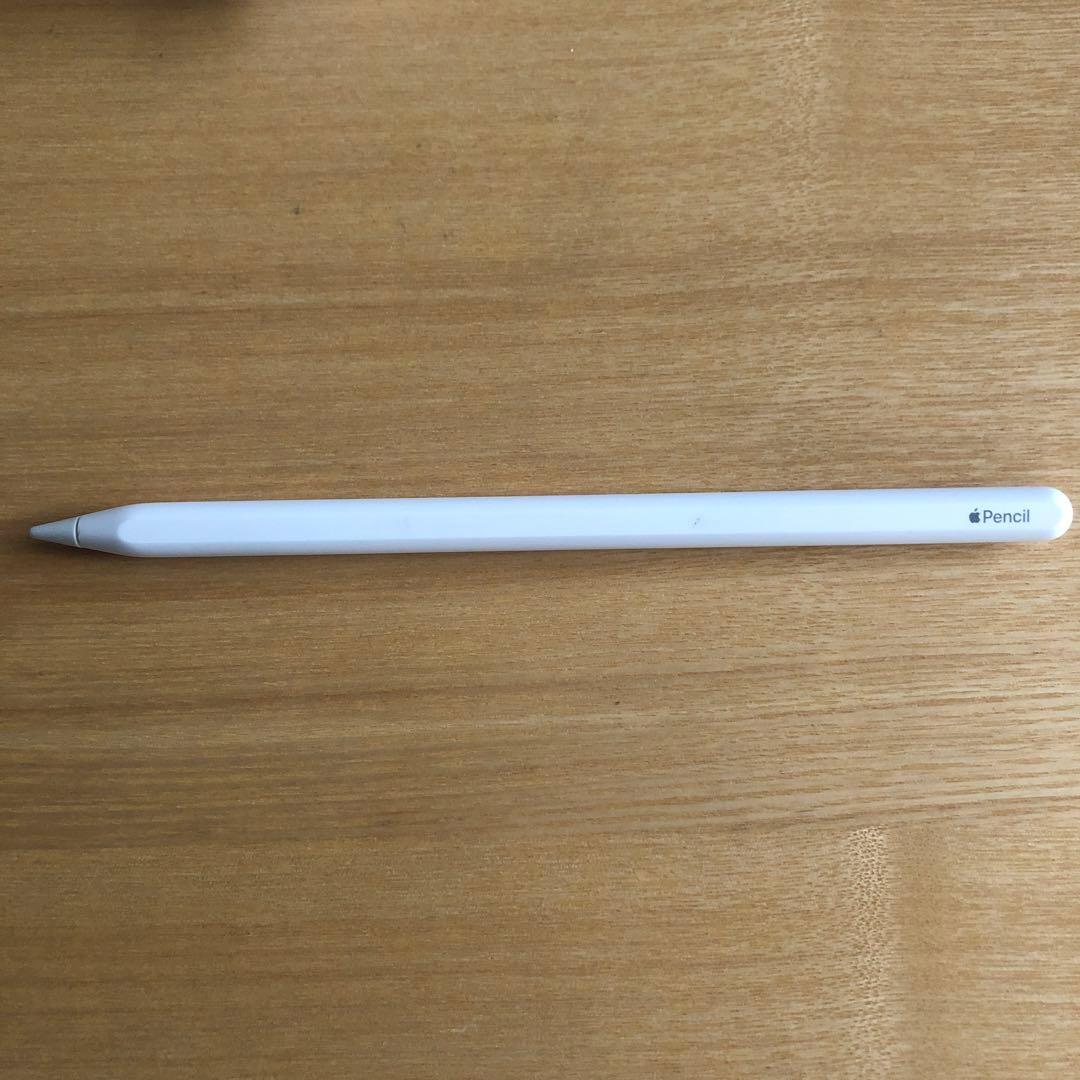 iPad Air 第4世代　スカイブルー 本体 充電器付き