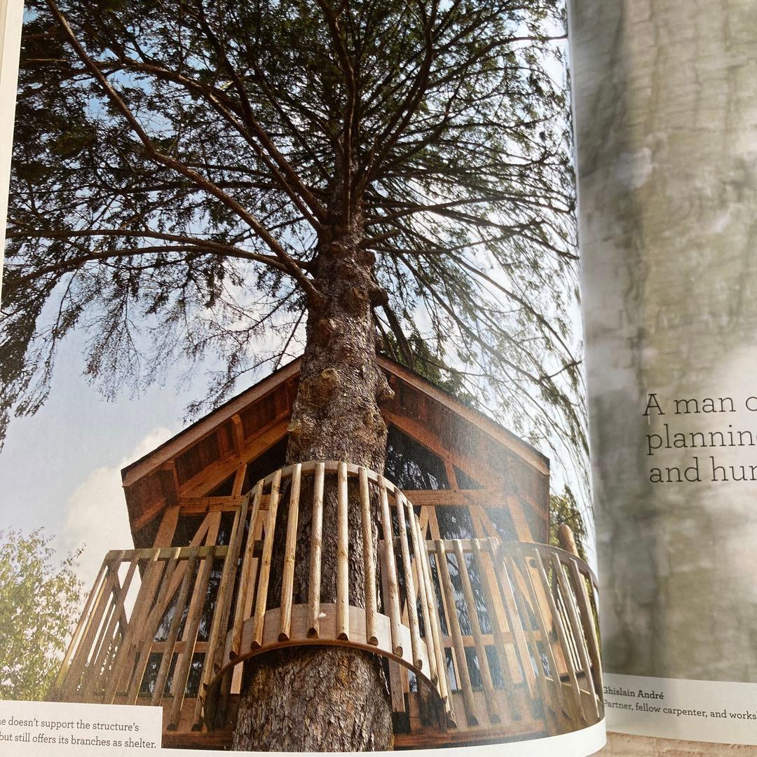 アート・デザイン・音楽 Dream Treehouses