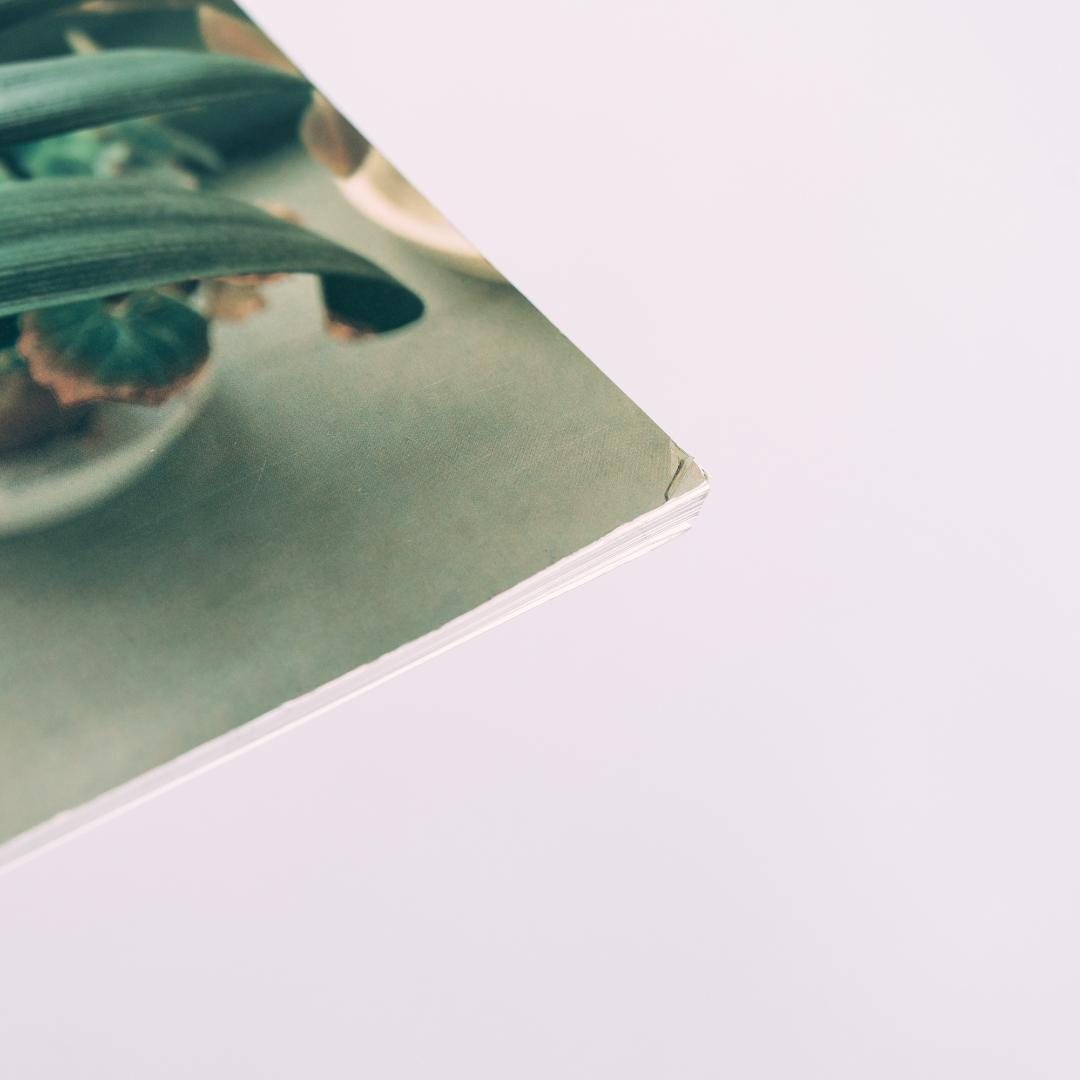 生きている 佐内正史 写真集