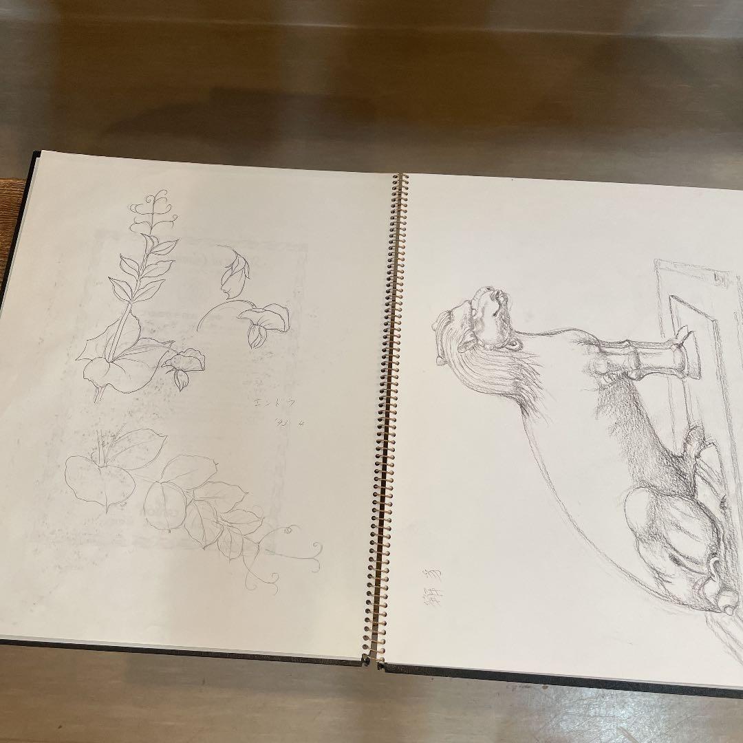 河村大蔵　蔵石　スケッチブック