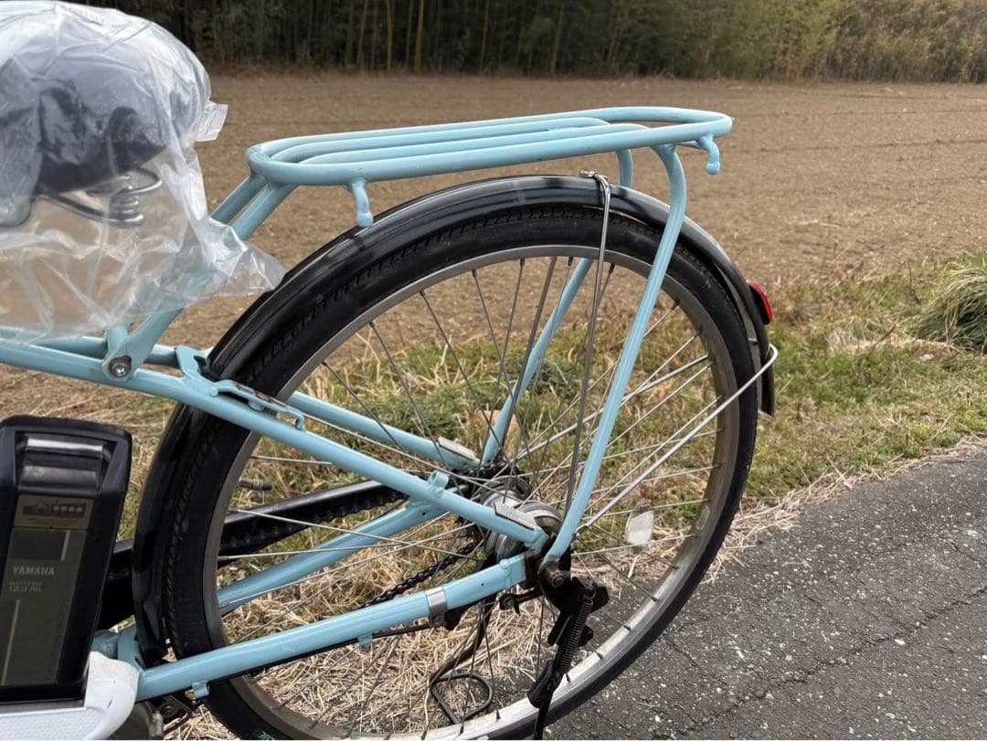 水色 電動アシスト自転車 低床タイプ バスケット付き