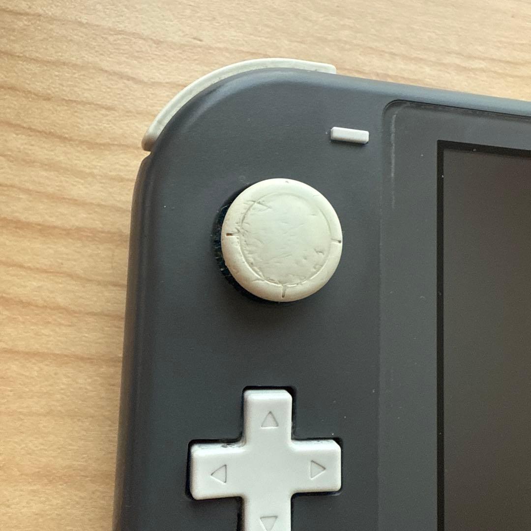 Nintendo Switch Lite ジャンク品 本体のみ