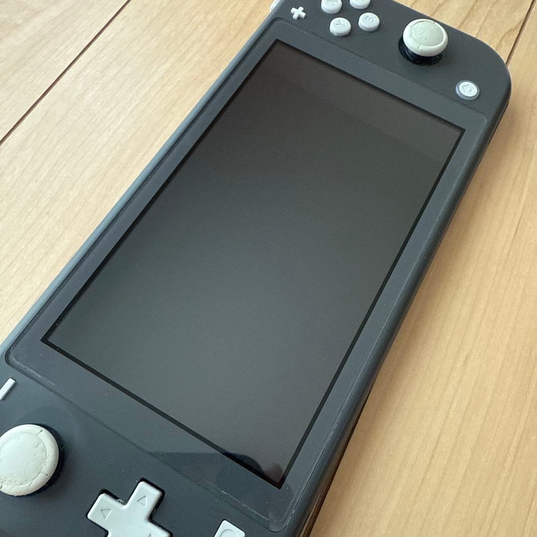 Nintendo Switch Lite ジャンク品 本体のみ
