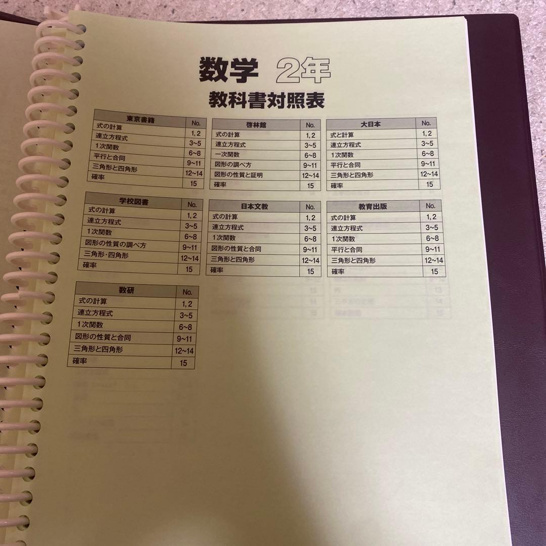 生徒用指導書 文部科学省指導要領準拠