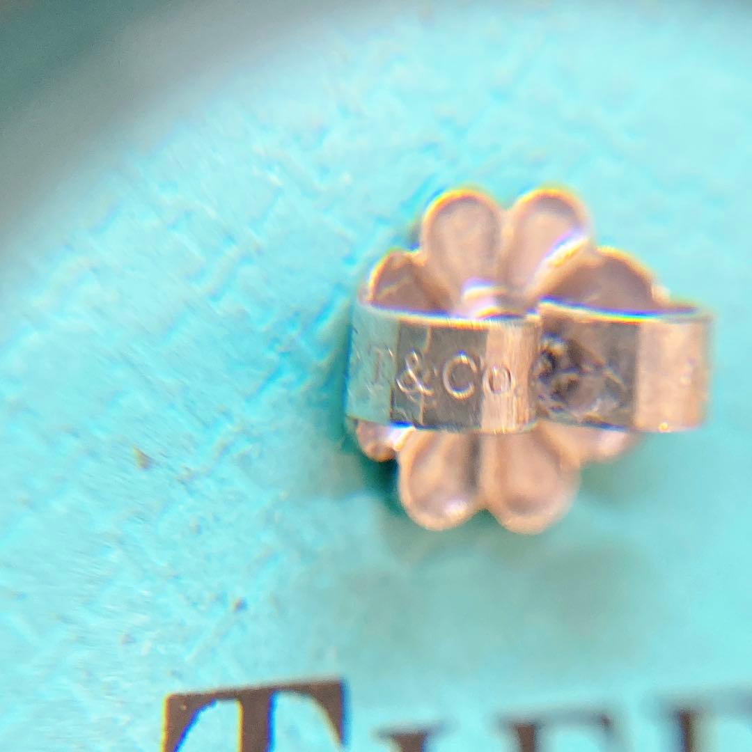 【美品】ティファニー オリーブリーフ フープ ピアス 925 シルバー 希少