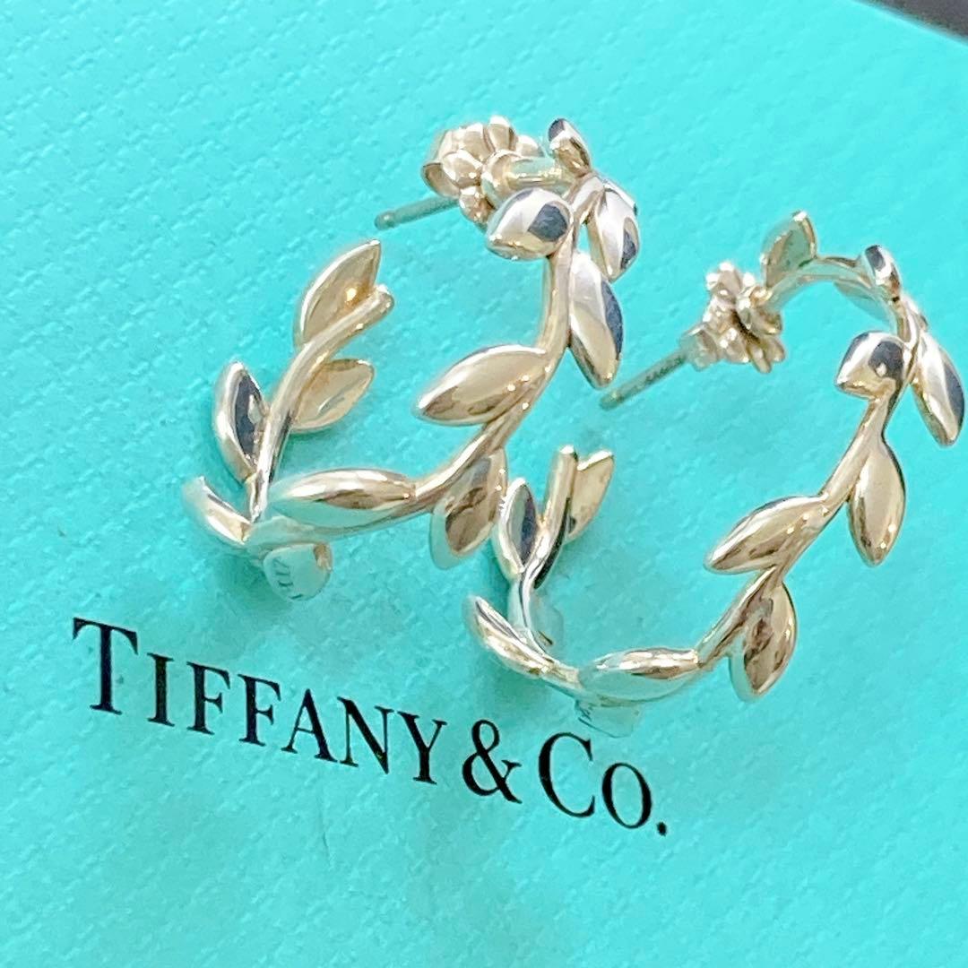 【美品】ティファニー オリーブリーフ フープ ピアス 925 シルバー 希少