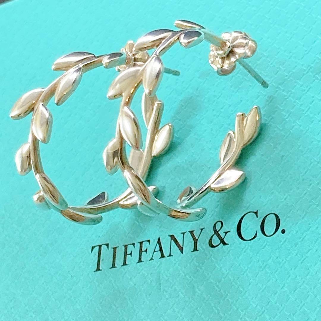 【美品】ティファニー オリーブリーフ フープ ピアス 925 シルバー 希少
