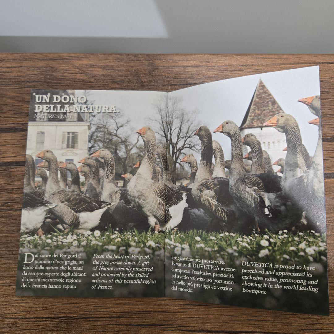 DUVETICA　フード付きダウンベスト　42　Gray　ギャランティカード付