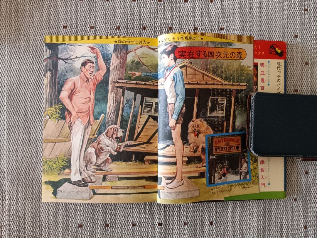 l*l様 ドラゴンブックス⑦ 　四次元ミステリー