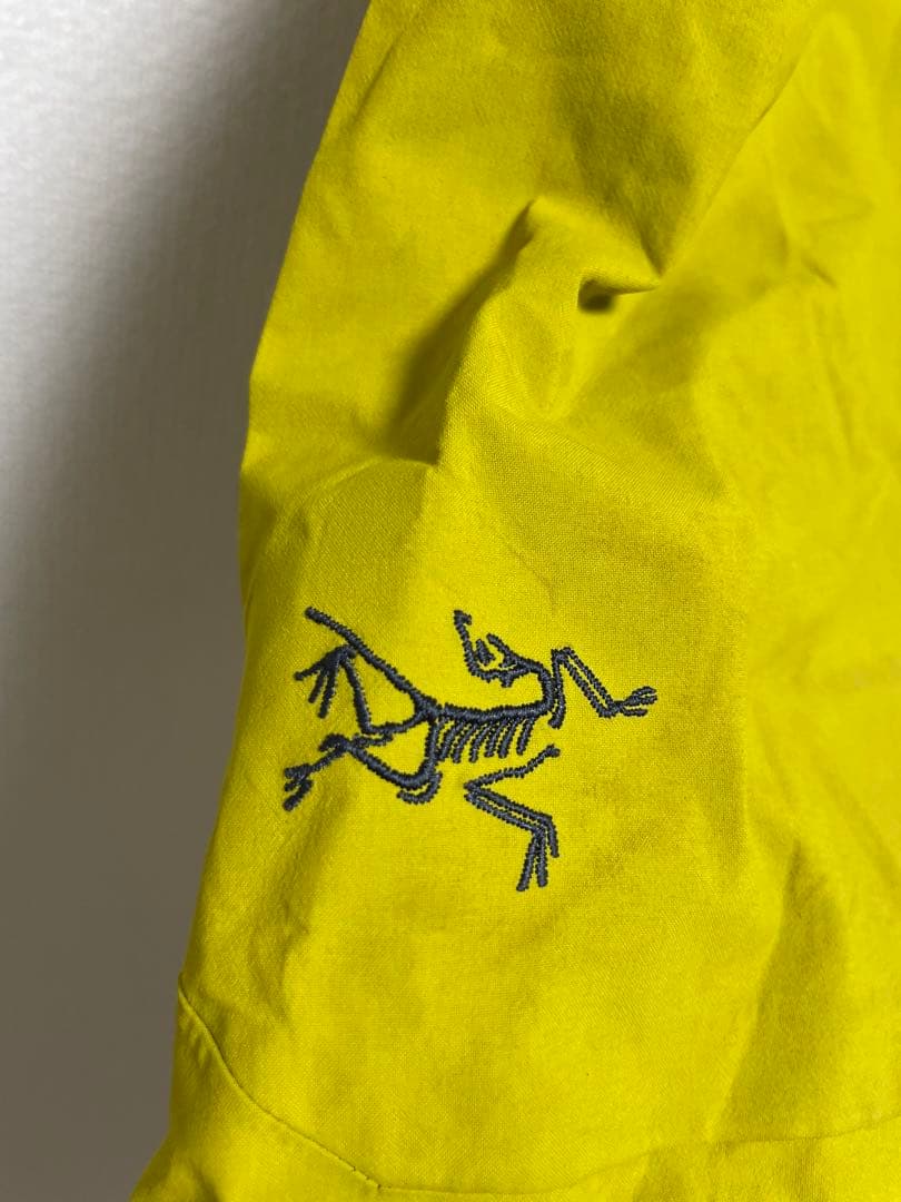 Arc'teryx 廃盤 Stinger Bib GORETEX PRO パンツ