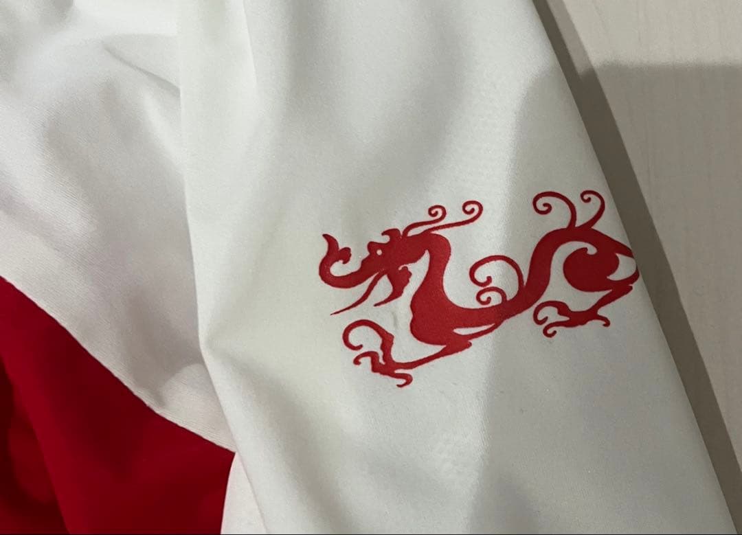 限定お値下げ！ダンスウィズドラゴン　ウィンドブレーカー