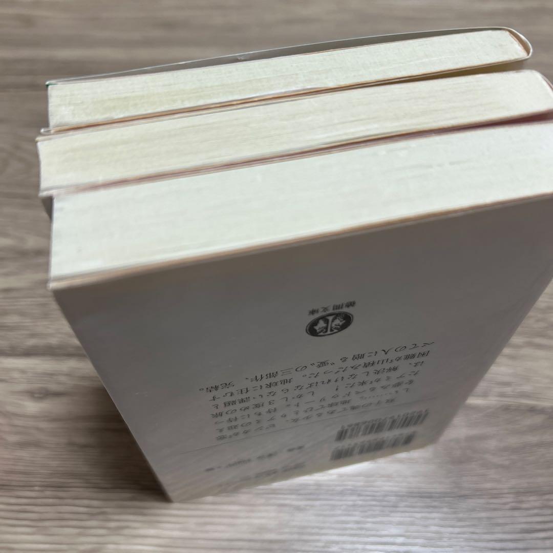 アミ小さな宇宙人　もどってきたアミ　アミ3度めの約束　エンリケ・バリオス