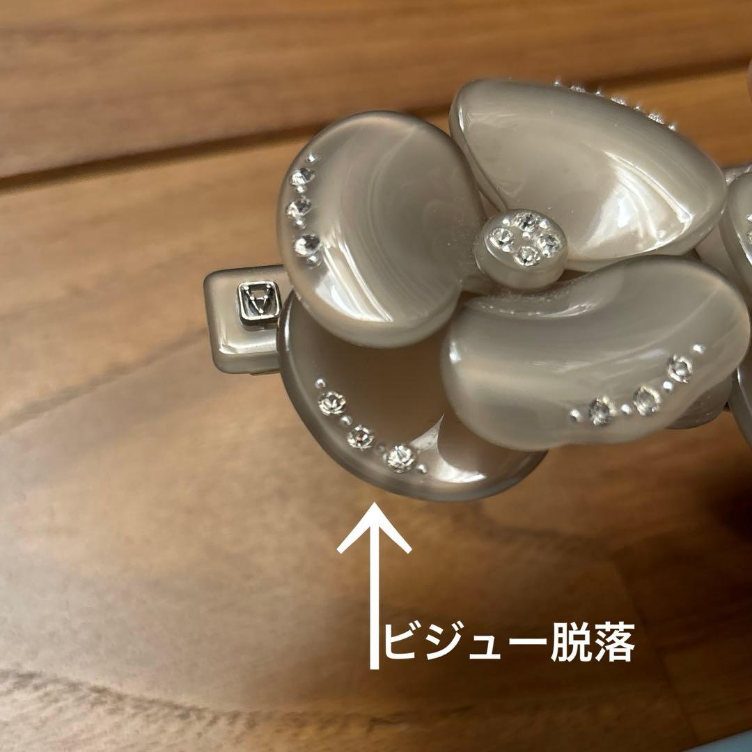 アレクサンドルドゥパリ　カメリア　双子　グレー