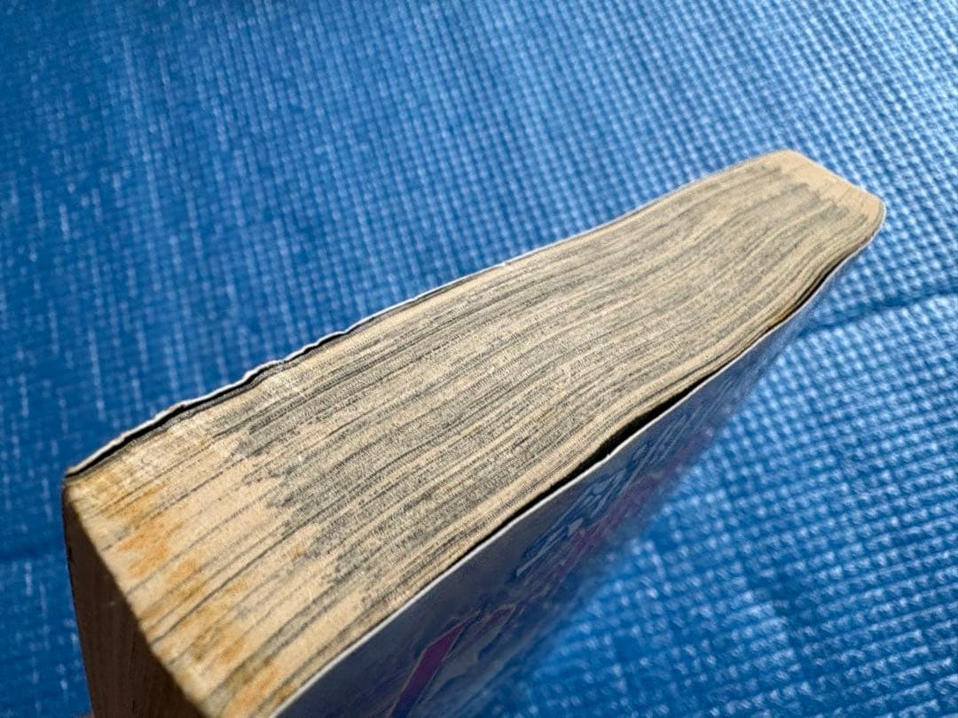 【初版】士魂燃ゆスペシャル　 会津白虎隊異聞 (Gコミックス)