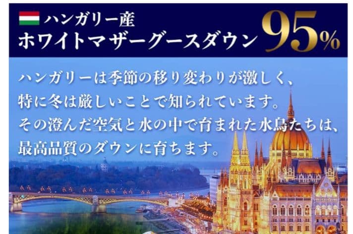 ホワイトマザーグースダウン95% セミダブルサイズ　羽毛掛け布団【美品】